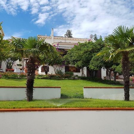 Villa Mercedes B&B The Best Choice Siniscola Extérieur photo